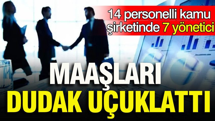 14 personelli kamu şirketi Vakıf İnşaat'ta 7 yöneticiye 3,9 milyon TL yıllık maaş ödeniyor