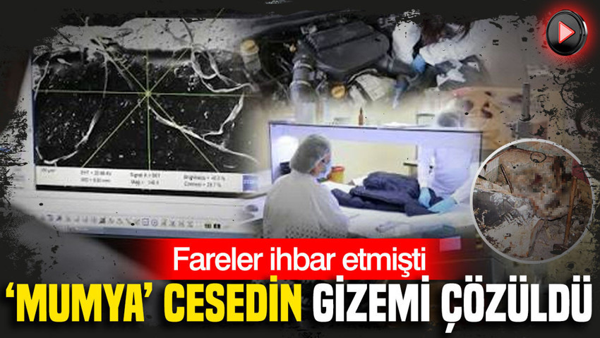 Mersin’de 19 yıllık ‘mumya ceset’ cinayeti çözüldü