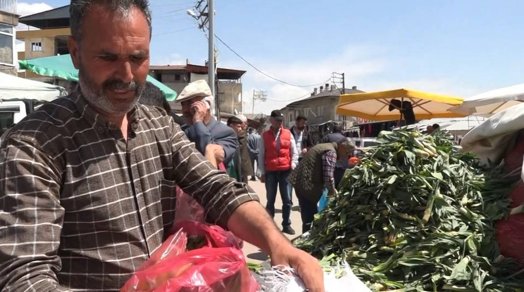 Dağlarda yetişiyor basuru bitiriyor romatizma ağrılarını dindiriyor. Kilosu 25 TL - Resim: 2