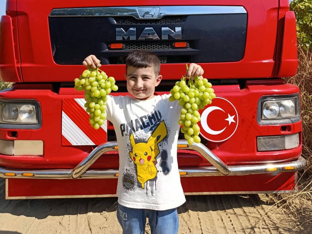 Yaşlanmayı durduran çekirdeksiz meyve. Bahçede kilosu 35 markette 100 TL - Resim: 4