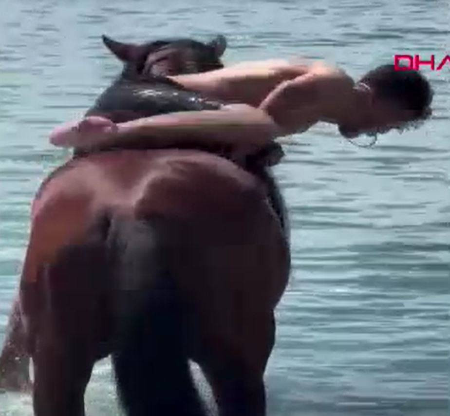 Turizm adı altında atlara böyle eziyet ettiler - Resim: 15