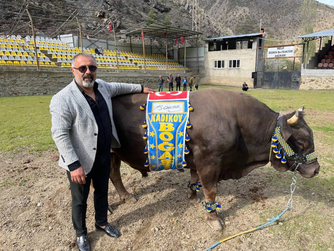 Gerçek 'Kadıköy Boğası' Artvin'de ortaya çıktı - Resim: 1