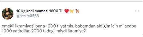 Emekliler isyanda. ikramiyeler pul oldu. Zamlar dul ve yetim maaşlarına yansıtılmadı - Resim: 12