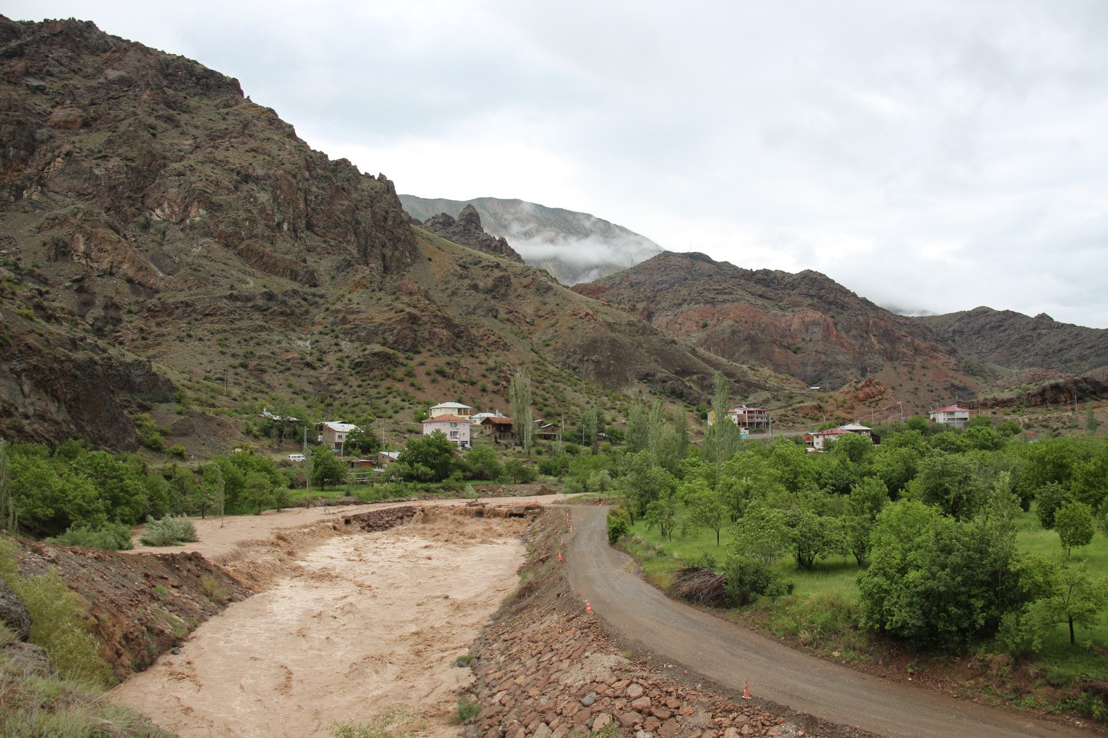 Çoruh Nehri'nin can damarı Oltu Çayı kurudu - Resim : 6