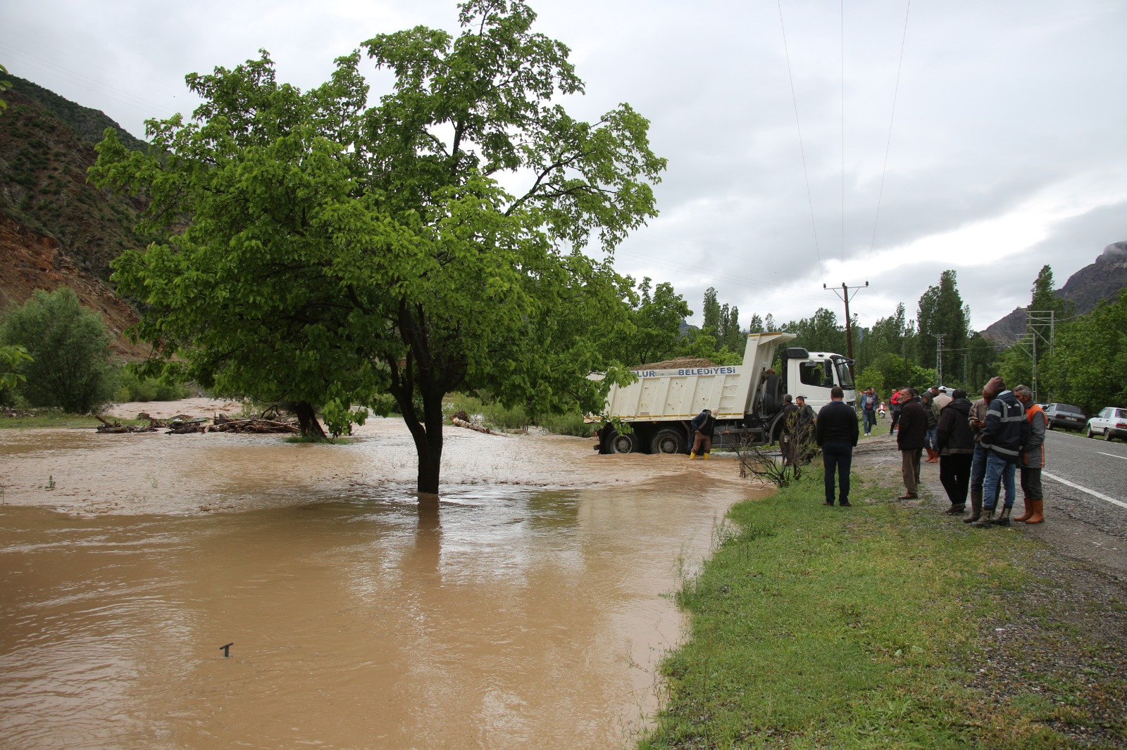 Çoruh Nehri'nin can damarı Oltu Çayı kurudu - Resim : 5