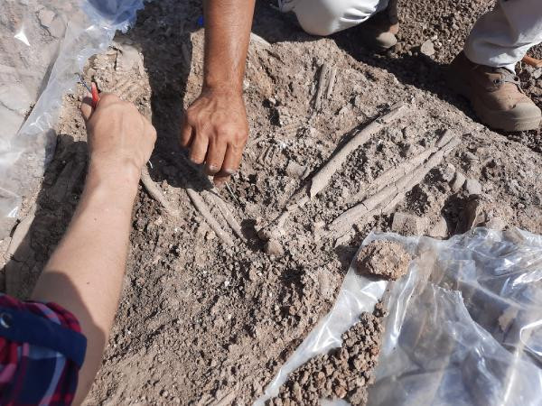 Mardin'de tarihi değiştirecek keşif. En eski bilinen Göbeklitepe’den daha eski - Resim : 2