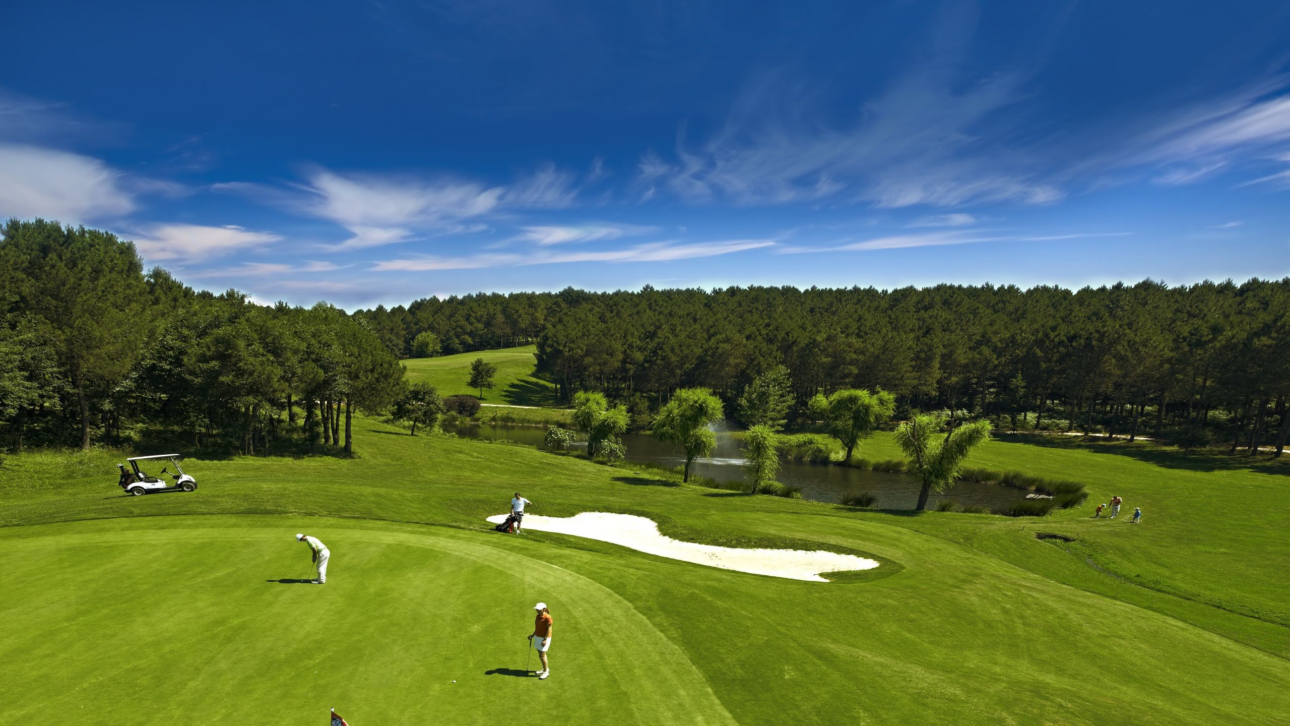 Yıldırım Demirören Türkiye Golf Federasyonu başkanlığına aday oldu. 10 milyon dolarlık golf sahasını 320 milyon dolara Ziraat Bankası'na sattığı iddia edilmişti - Resim : 3