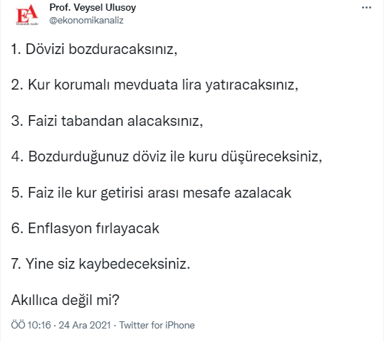Kimse kur garantili TL sistemini bu kadar öz anlatmadı... Prof. Ulusoy yeni sistemde kimlerin kaybedeceğini açıkladı - Resim : 1