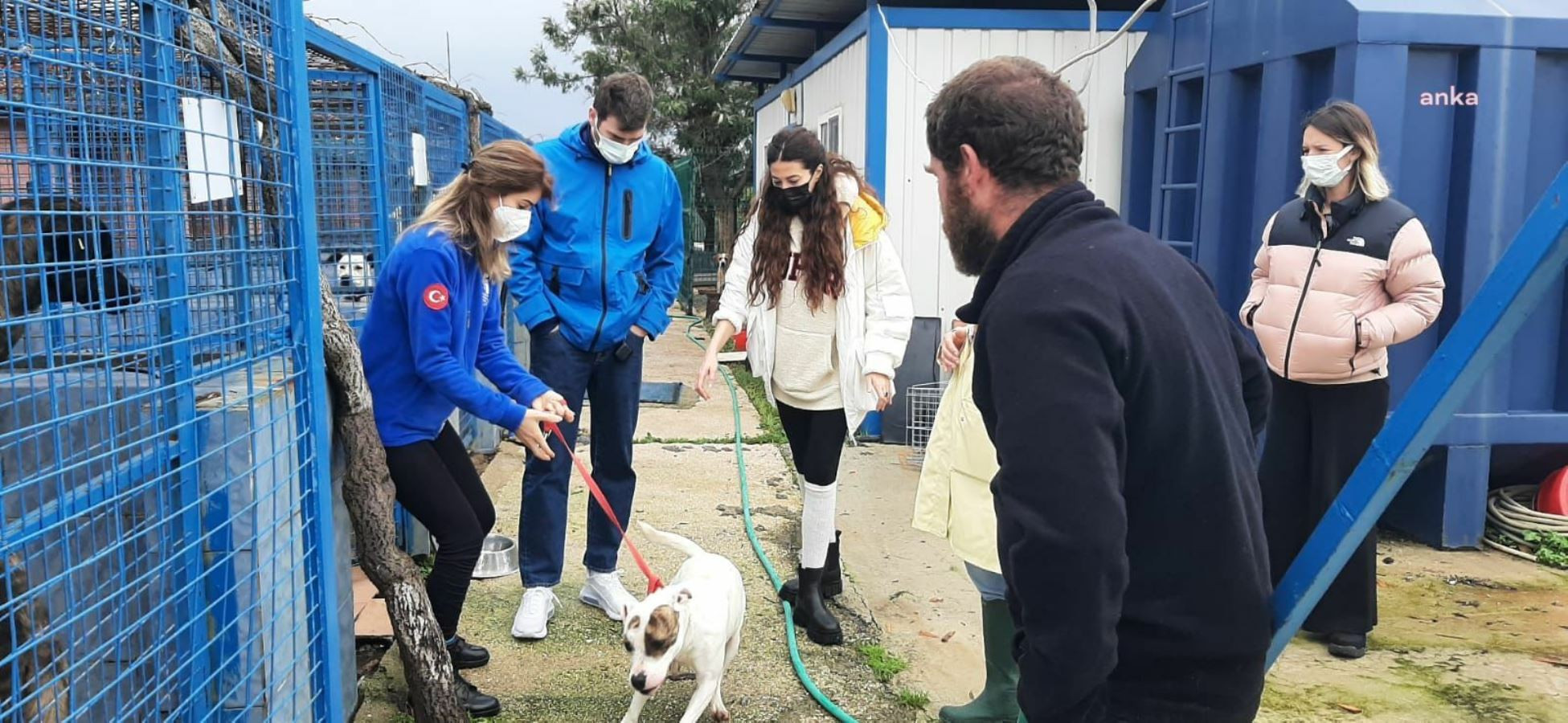 Kıvanç Tatlıtuğ’dan anlamlı destek: Satın alma sahiplen - Resim : 1