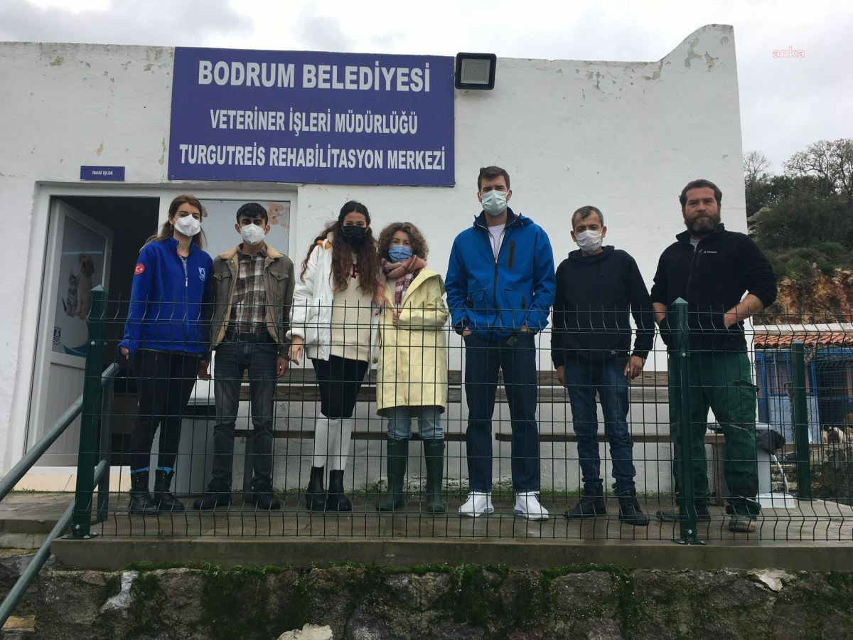 Kıvanç Tatlıtuğ’dan anlamlı destek: Satın alma sahiplen - Resim : 3
