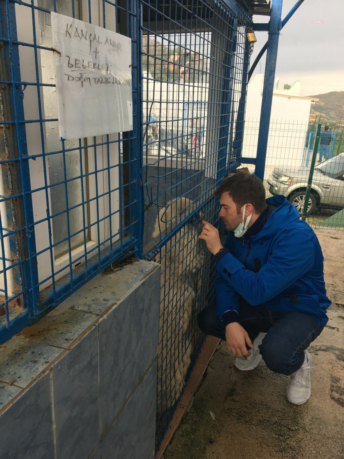 Kıvanç Tatlıtuğ’dan anlamlı destek: Satın alma sahiplen - Resim : 2