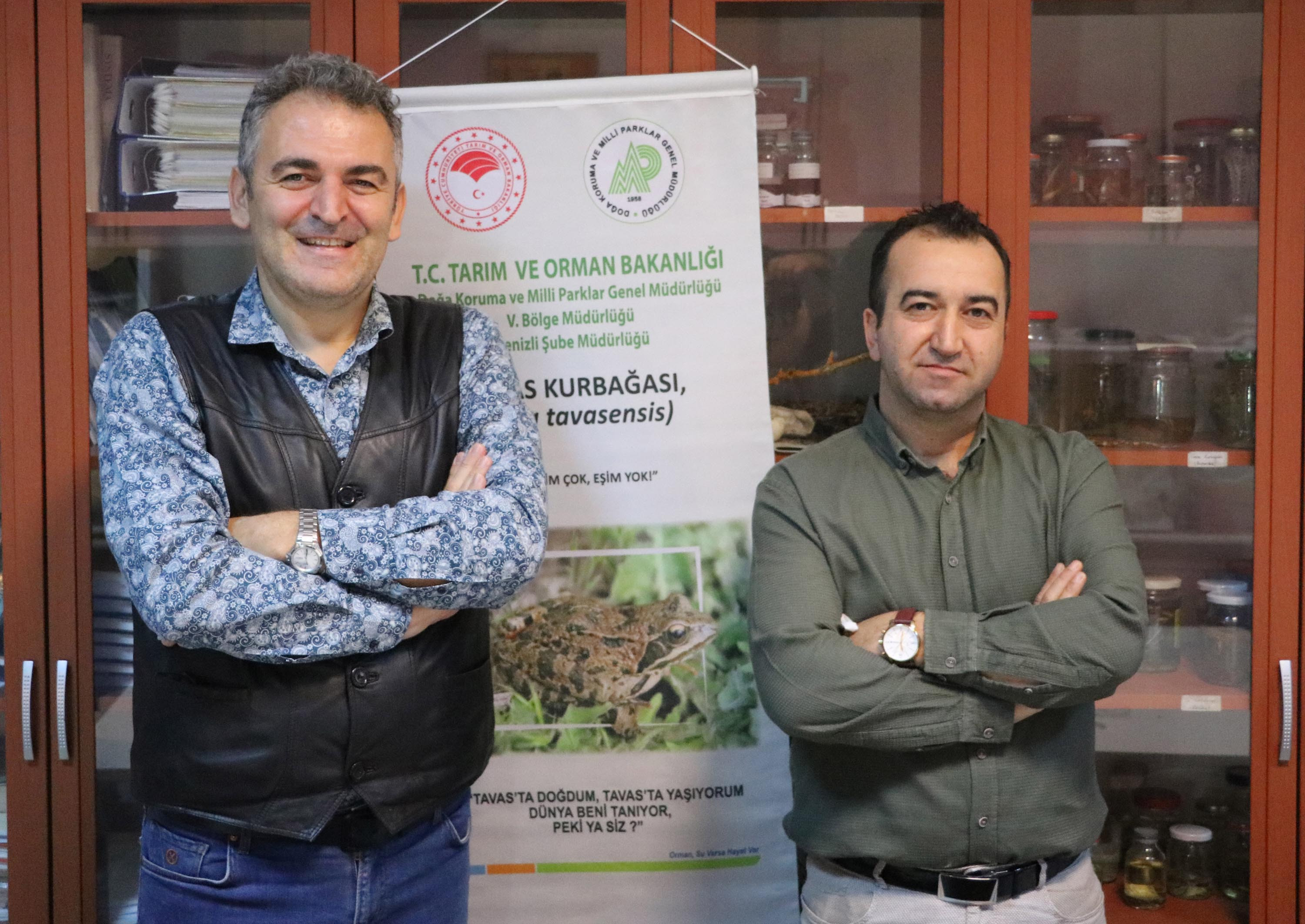 Çift başlı siyam ikizi kaplumbağalardan kötü haber - Resim : 1