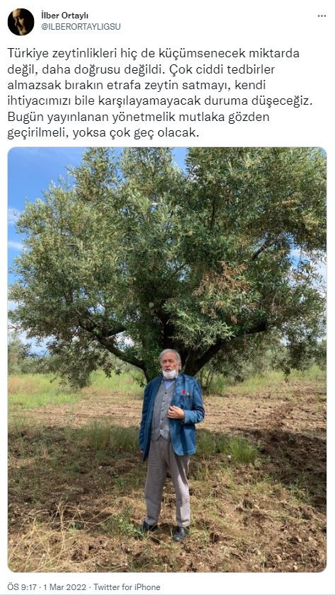 İlber Ortaylı zeytinliklerin ranta açılmasına ateş püskürdü - Resim : 1
