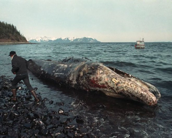 Yemen'deki ‘Safer’ krizinin ‘Exxon Valdez’ felaketine dönüşmemesi için 144 milyon dolar gerekiyor - Resim : 6