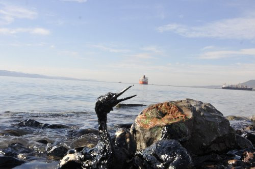 Yemen'deki ‘Safer’ krizinin ‘Exxon Valdez’ felaketine dönüşmemesi için 144 milyon dolar gerekiyor - Resim : 7