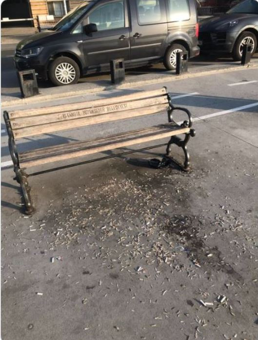 Ünlü gazeteci Ersoy Özdem boğazda yüzen öküzleri açıkladı. Bir de sahilde çekirdek yemişler - Resim : 2