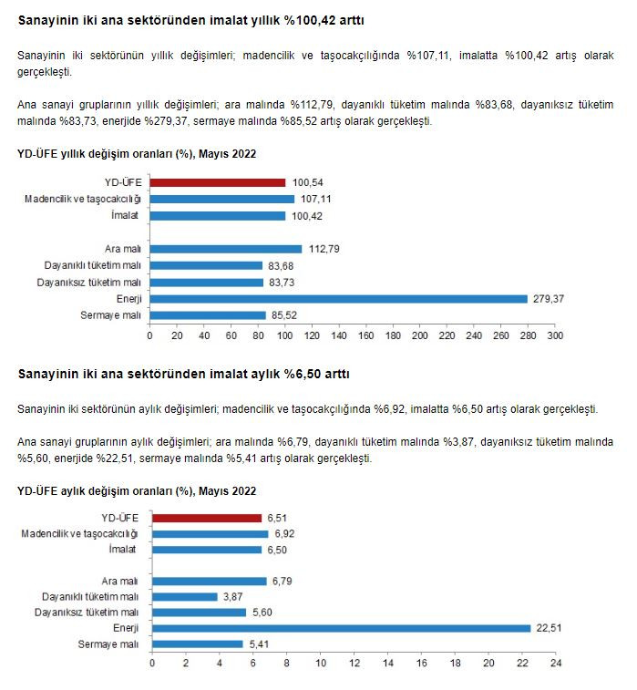 Yurt dışı üretici fiyat endeksi mayısta uçtu. Geçen yıla göre yüzde 100,54 arttı - Resim : 5