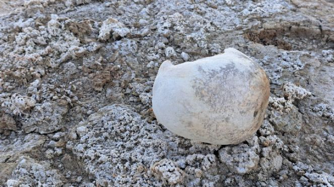 Burası eskiden göldü! 200’e yakın kuş türüne ev sahipliği yapıyordu - Resim : 1