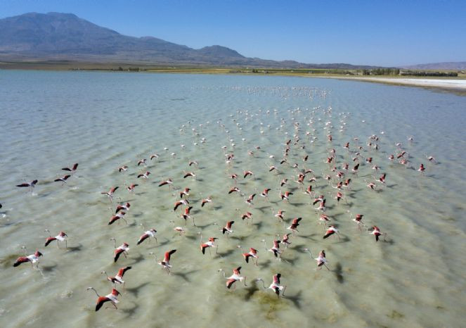 Burası eskiden göldü! 200’e yakın kuş türüne ev sahipliği yapıyordu - Resim : 9