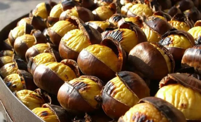 Bağışıklığı güçlendiriyor, hastalıklardan koruyor - Resim : 1