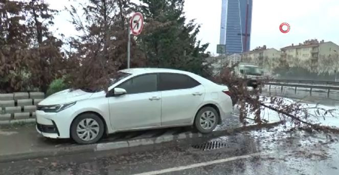 İstanbul'da etkili olan şiddetli rüzgar ağaçları devirdi - Resim : 1