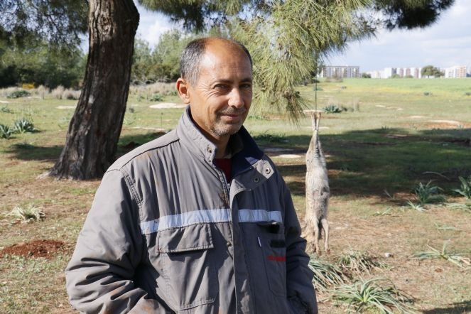 Vicdansızlar tilkiyi vurup ağaca astı - Resim : 4