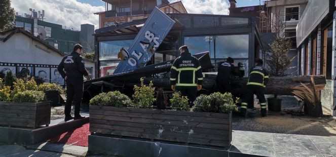 Ordu’yu şiddetli rüzgar vurdu! İş yeri ve otomobiller zarar gördü - Resim : 1