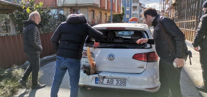 Ordu’yu şiddetli rüzgar vurdu! İş yeri ve otomobiller zarar gördü - Resim : 2