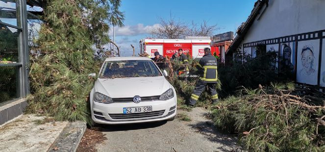 Ordu’yu şiddetli rüzgar vurdu! İş yeri ve otomobiller zarar gördü - Resim : 3