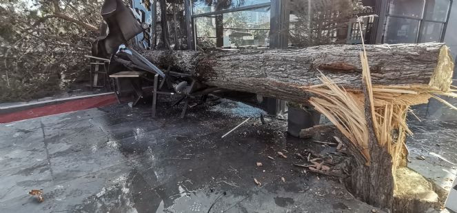 Ordu’yu şiddetli rüzgar vurdu! İş yeri ve otomobiller zarar gördü - Resim : 4