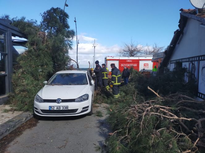 Ordu’yu şiddetli rüzgar vurdu! İş yeri ve otomobiller zarar gördü - Resim : 6