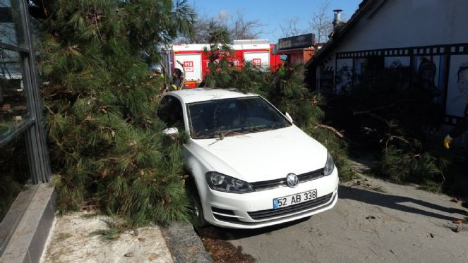 Ordu’yu şiddetli rüzgar vurdu! İş yeri ve otomobiller zarar gördü - Resim : 8