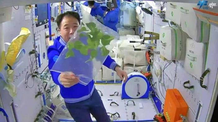 Astronotlar i&ccedil;in taze gıda! Sıfır yer&ccedil;ekimli sistemde sebze yetiştirme