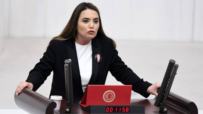 Ayyüce Türkeş’e Alparslan Türkeş'in kabrinde saldırı!