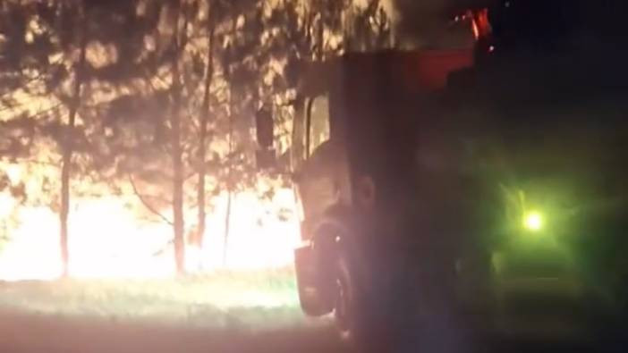 Bolu’da örtü yangını ormana sıçramadan söndürüldü