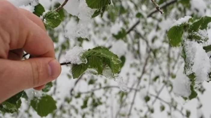 Meteoroloji’den ’zirai don’ uyarısı
