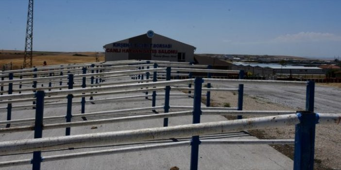 Kırşehir’de hayvan pazarı kapatıldı
