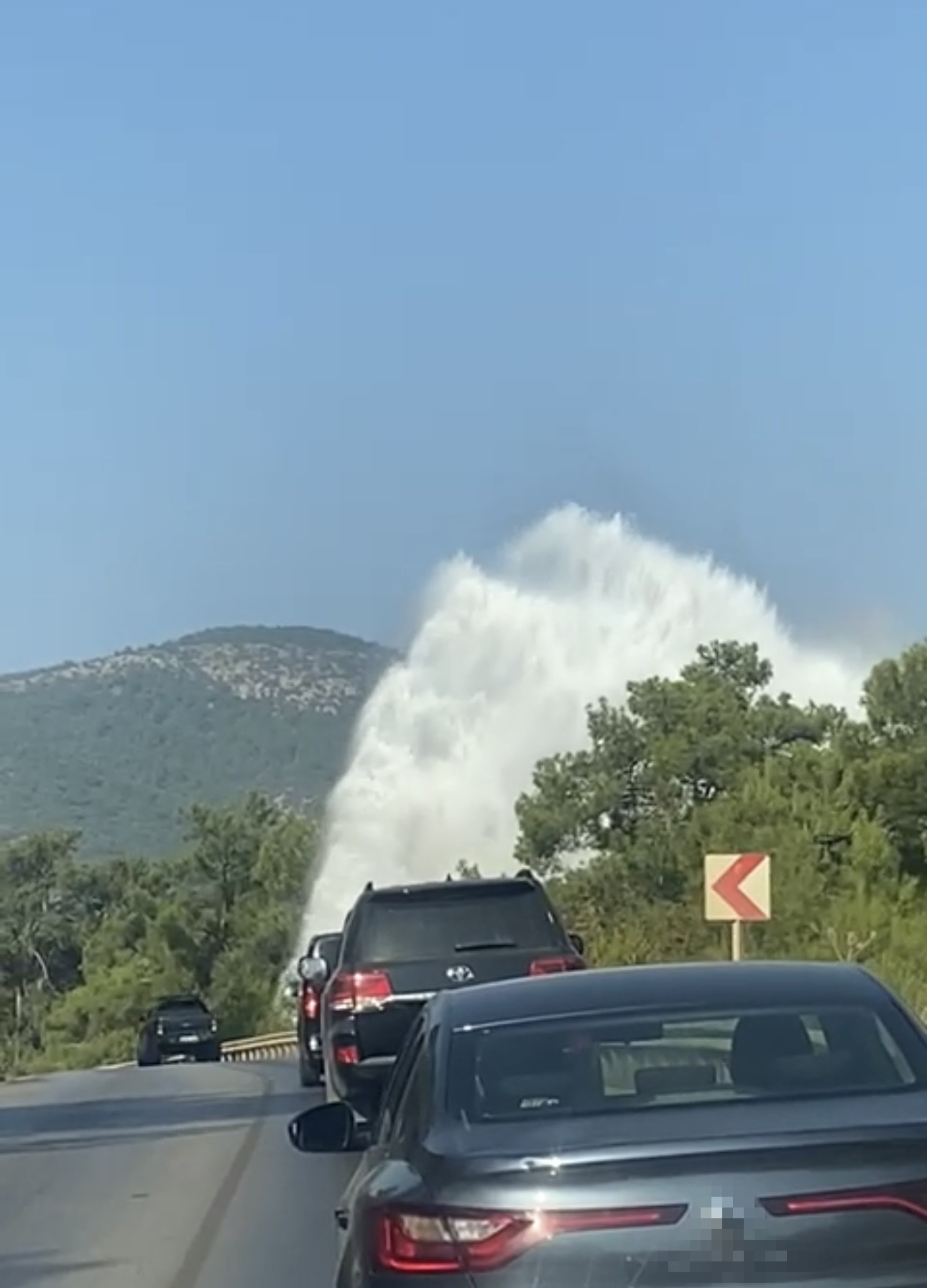 sur-1.jpg