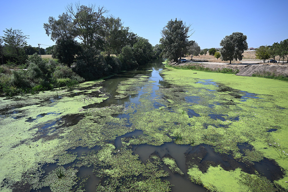 tunca-nehri-temizleniyor-yuzeyi-ot-ve-cople-kaplanmisti-yenicag-5.jpg