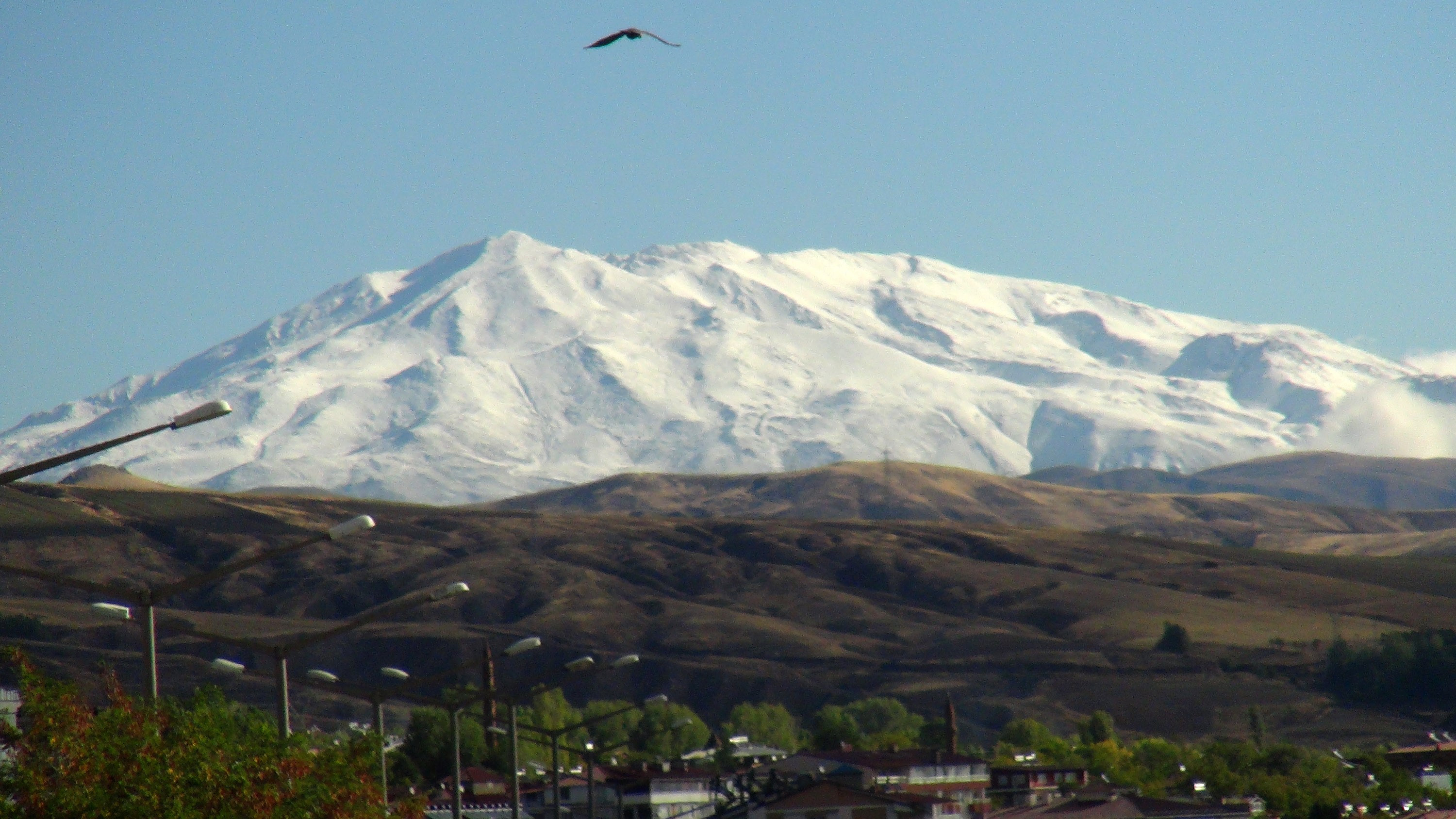 aw045847-02.jpg