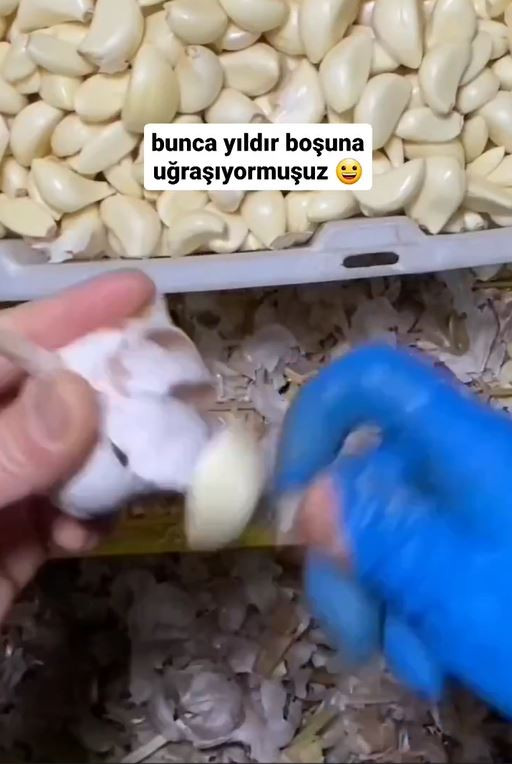 hjkiuhjlkoij.jpg