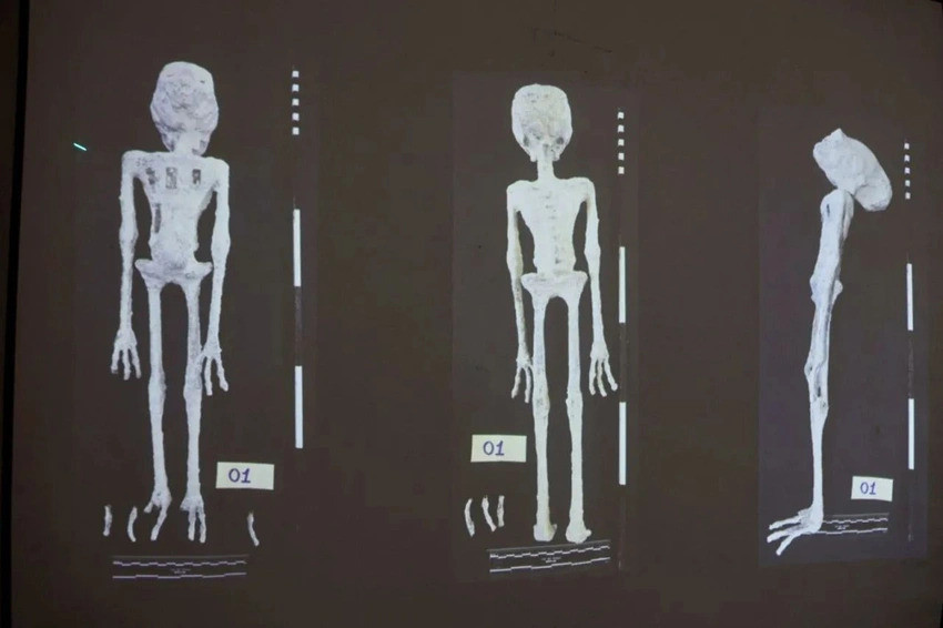4-iv1y.jpg