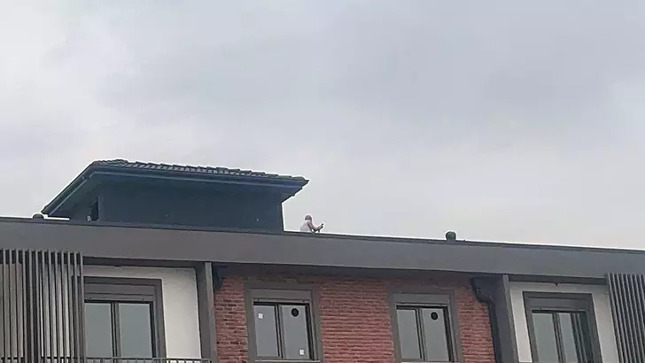 18538602-728xauto.webp