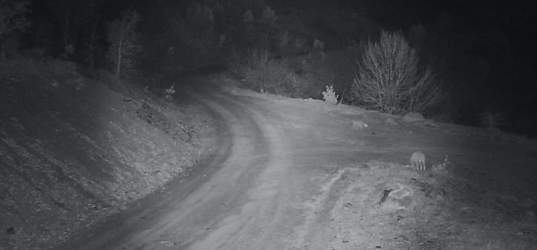 aw156354-02.jpg