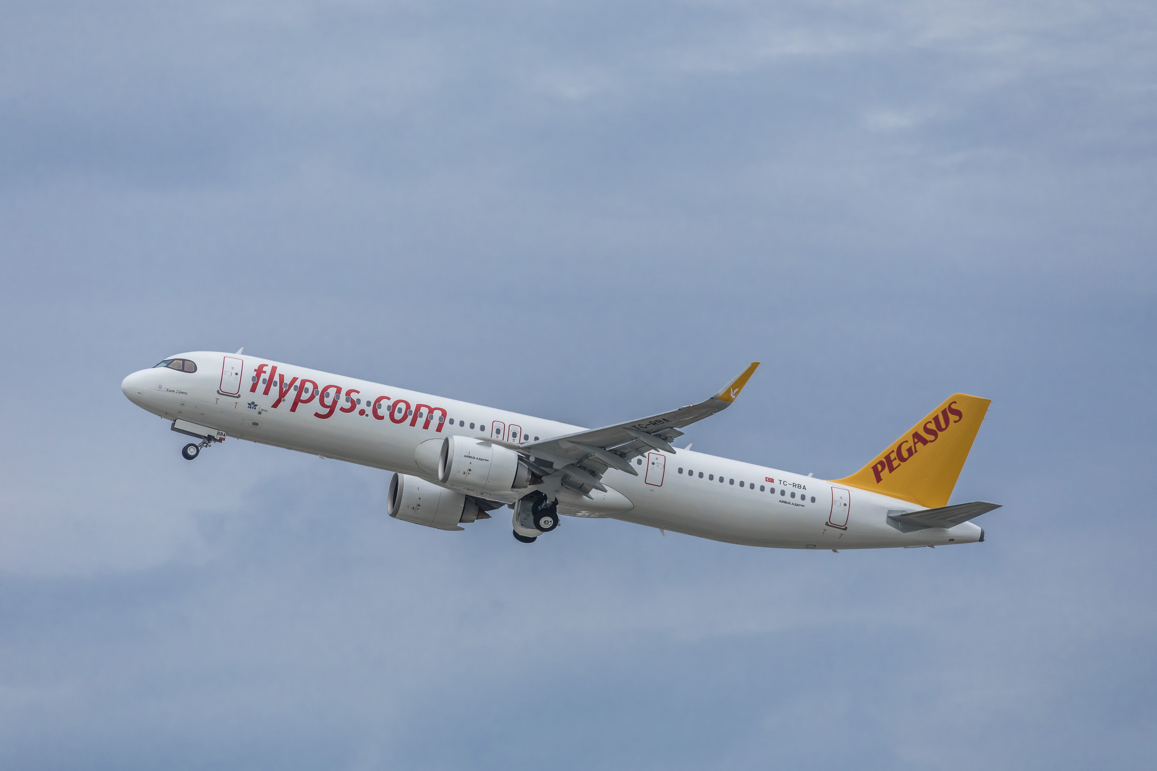 54099-1.jpg