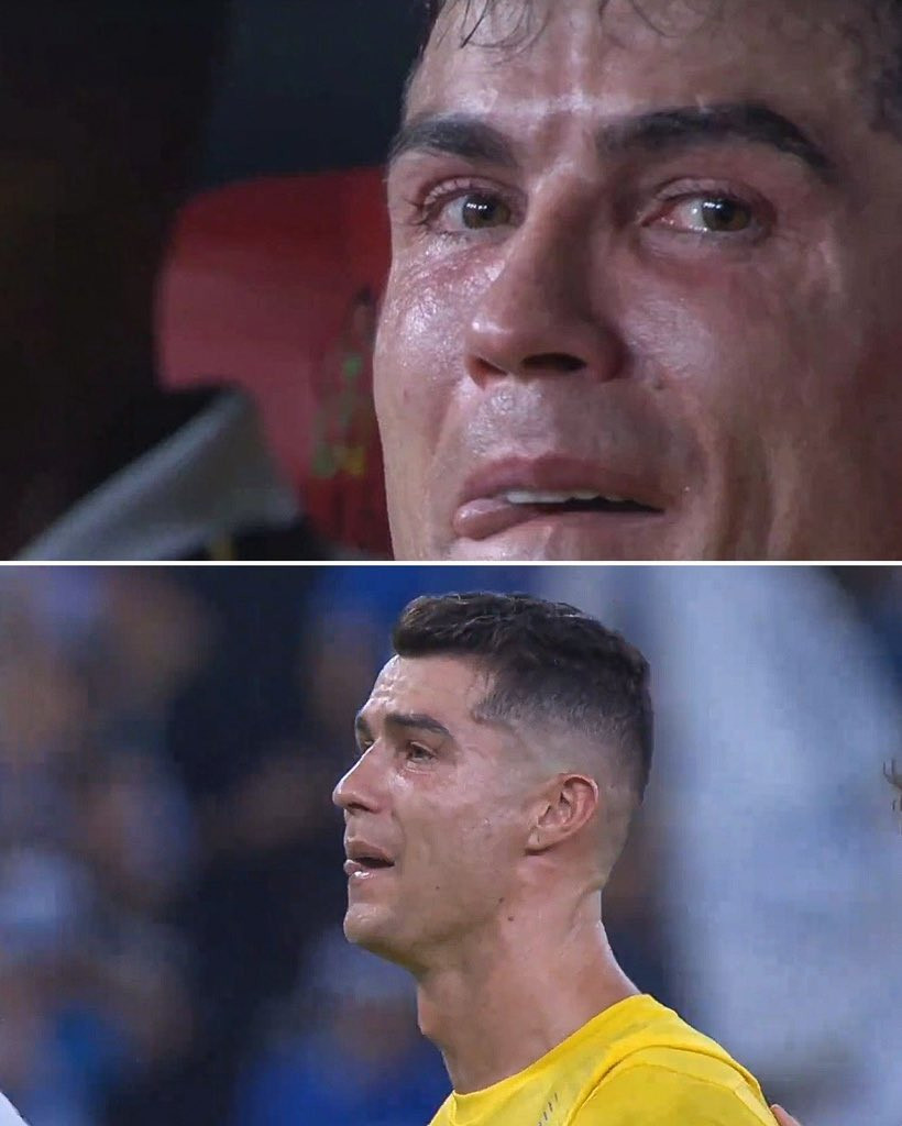 go8psbdbeaeyvrk.jpg