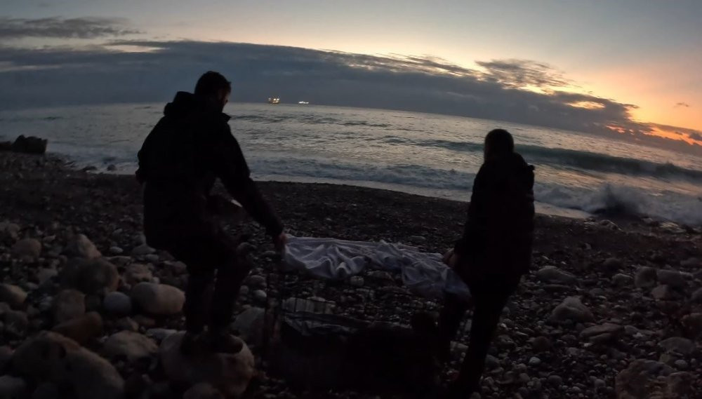 Fırtına mağduru yavru fok, balık&ccedil;ının &ccedil;abalarıyla annesine kavuştu