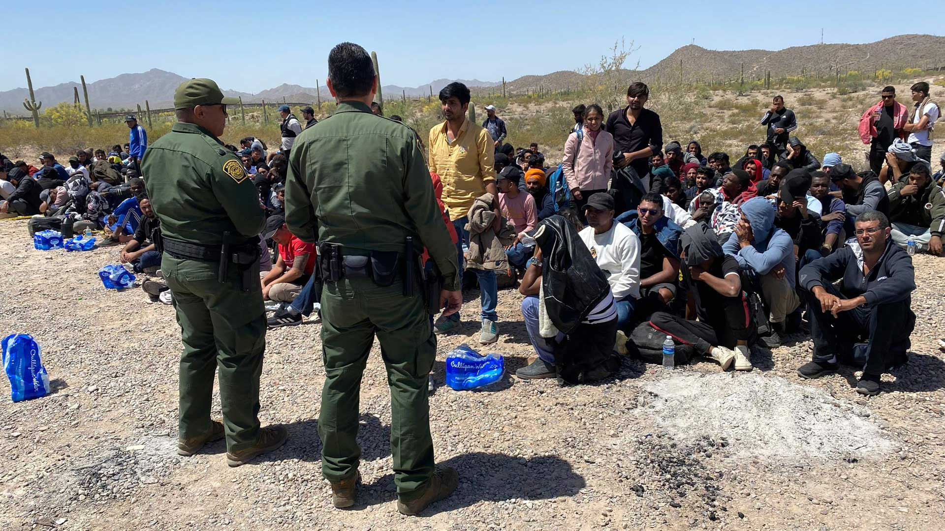 ajo-migrants1.jpg