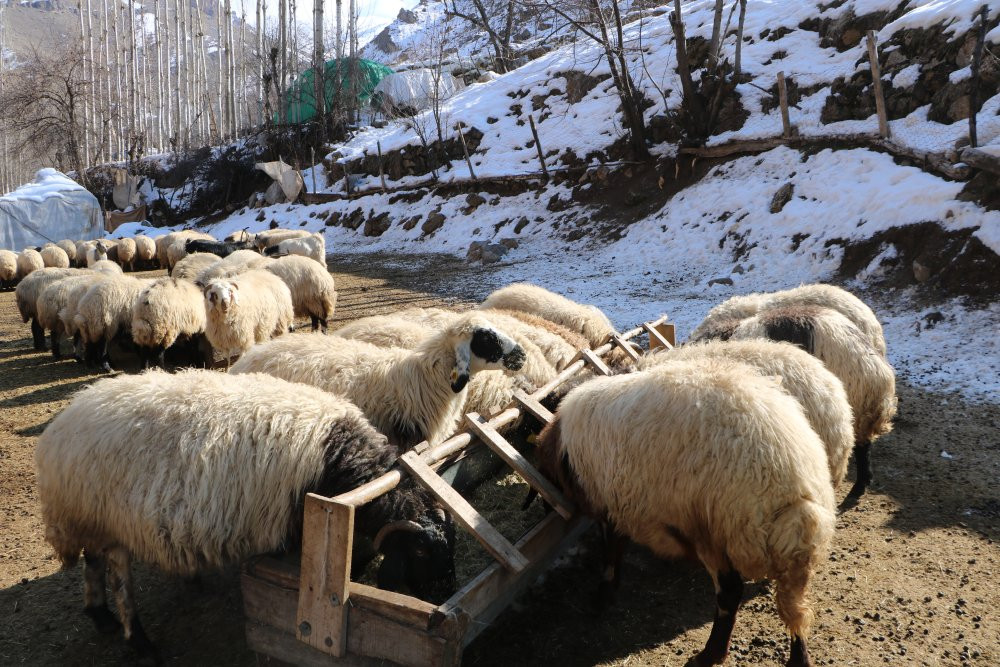 Karlı dağlarda zorlu yolculuk