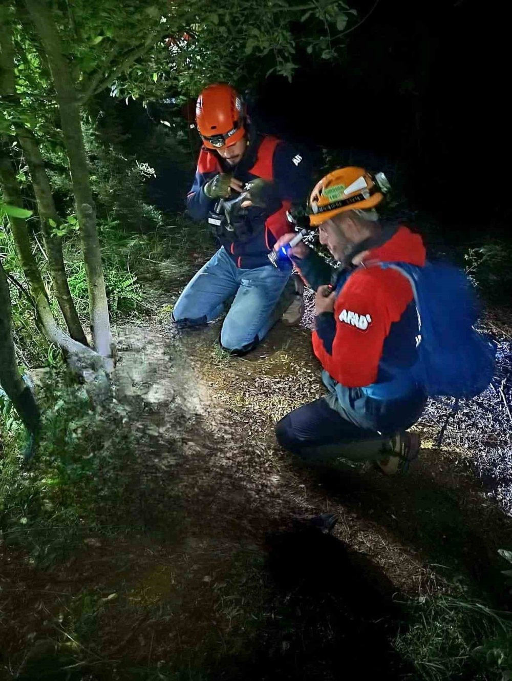Yalova'da ormanda sır ölüm! Kayıp olarak aranıyordu, cansız bedeni bulundu